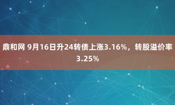 鼎和网 9月16日升24转债上涨3.16%，转股溢价率3.25%