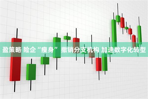 盈策略 险企“瘦身” 撤销分支机构 加速数字化转型