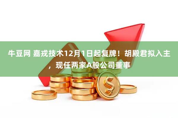 牛豆网 嘉戎技术12月1日起复牌！胡殿君拟入主，现任两家A股公司董事
